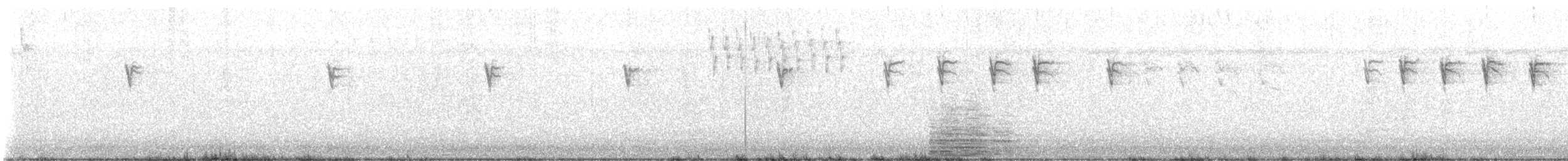 svarthettebisp - ML640809603