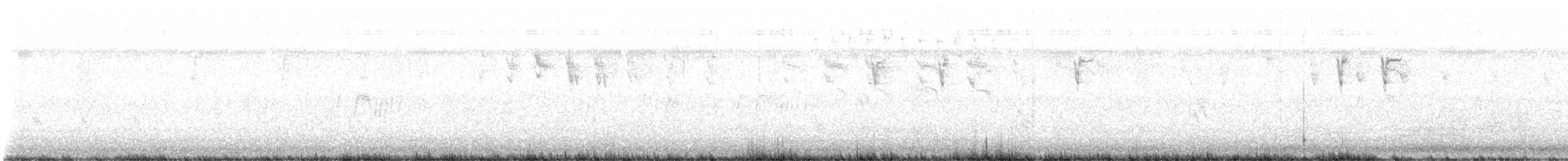 svarthettebisp - ML640809604