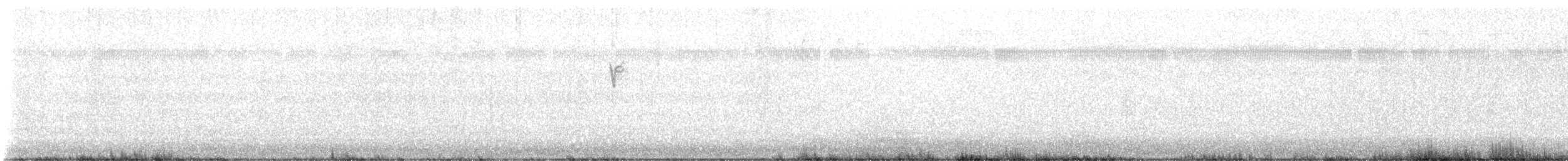 svarthettebisp - ML640809606