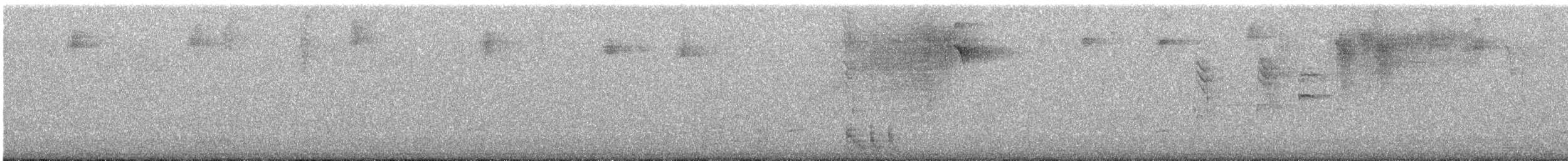 Puerto Rican Lizard-Cuckoo - ML640810431