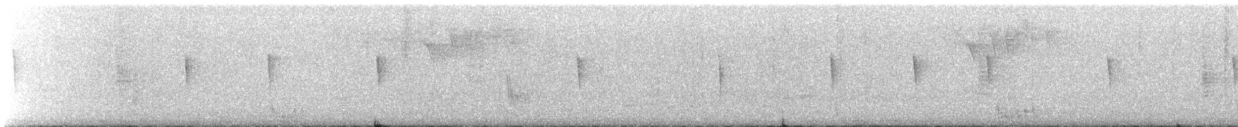 Puerto Rican Lizard-Cuckoo - ML640810432