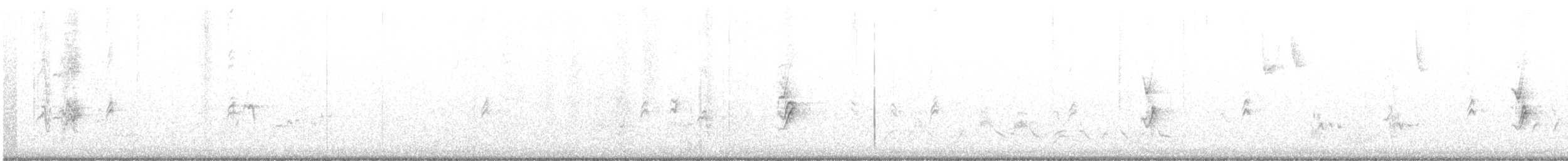 ハエトリツグミ - ML640812329