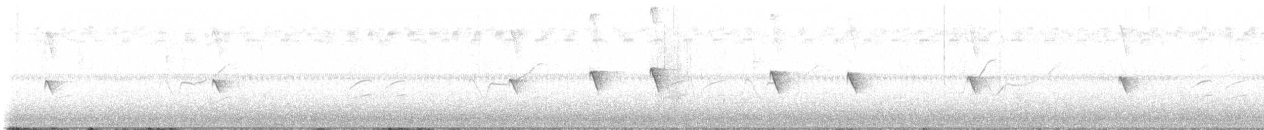 Black Phoebe - ML640819648