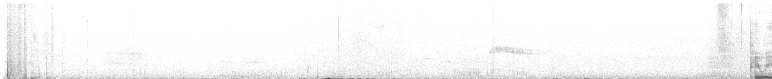 Western Wood-Pewee - ML640821574
