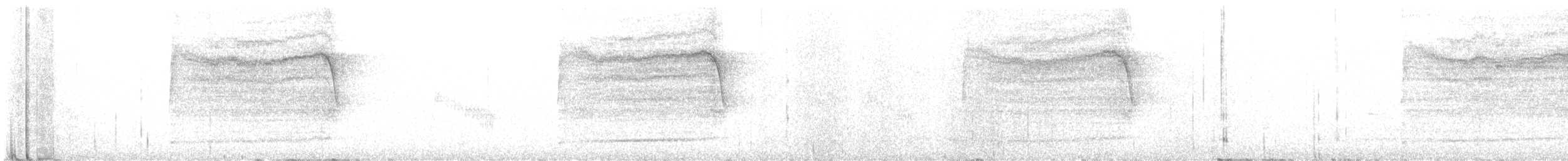 Spotted Owl (Mexican) - ML640821668