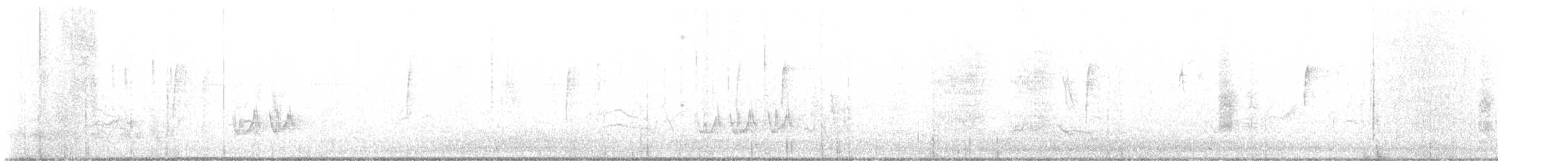Crissal Thrasher - ML640821701