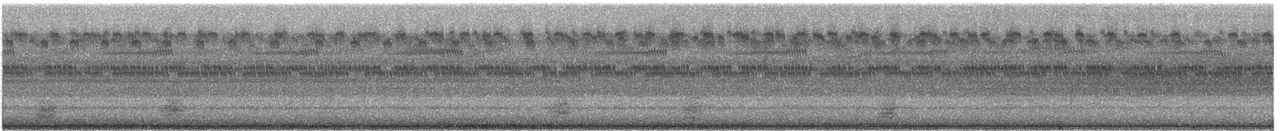 Kanadareiher [herodias-Gruppe] - ML640822075