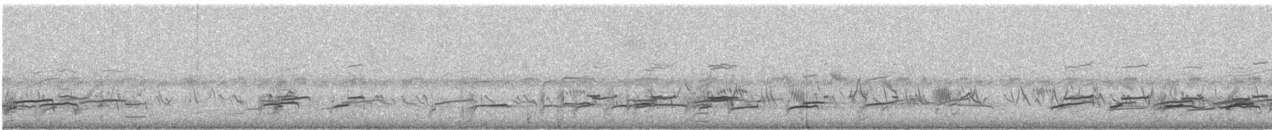 Long-billed Curlew - ML640823381