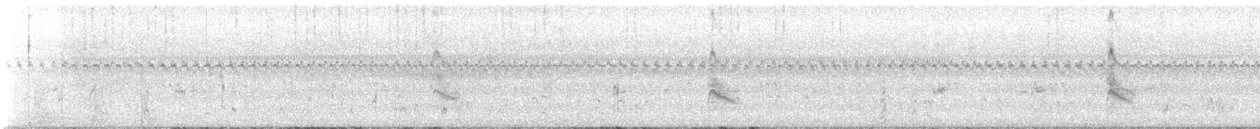 Forster's Tern - ML640825203