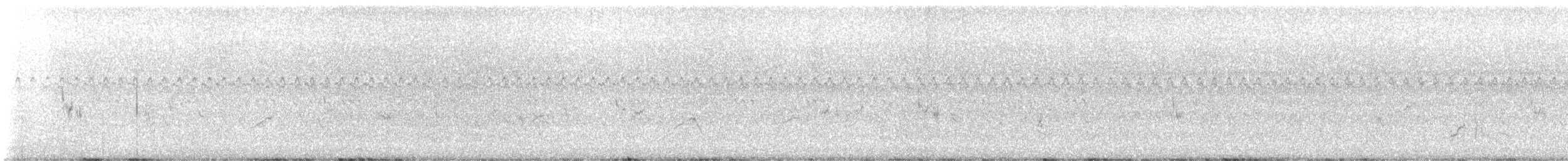 racek karibský - ML640825274