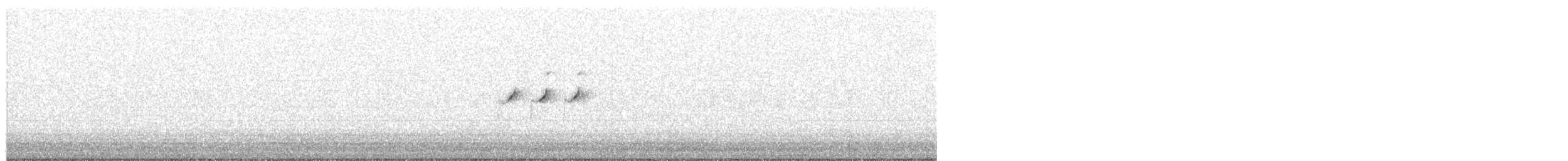 Solitary Sandpiper - ML640825308