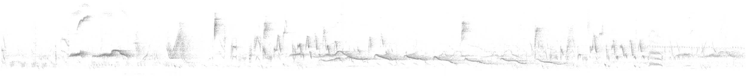 Stripe-backed Antbird - ML640825571