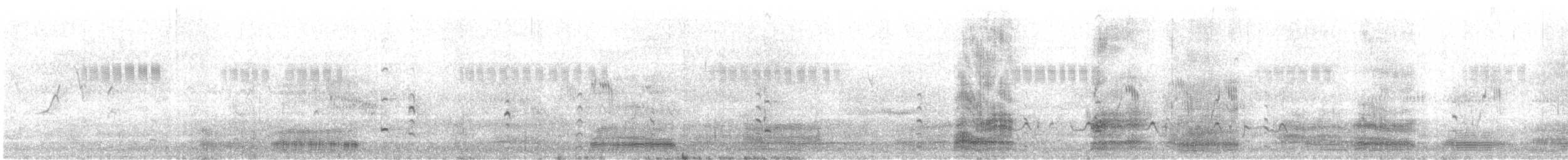 Bécasseau de Temminck - ML640825628