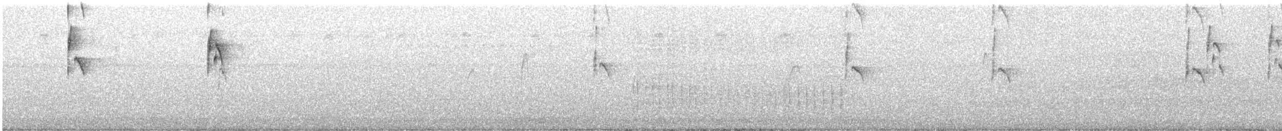 Tyran tritri - ML640828749