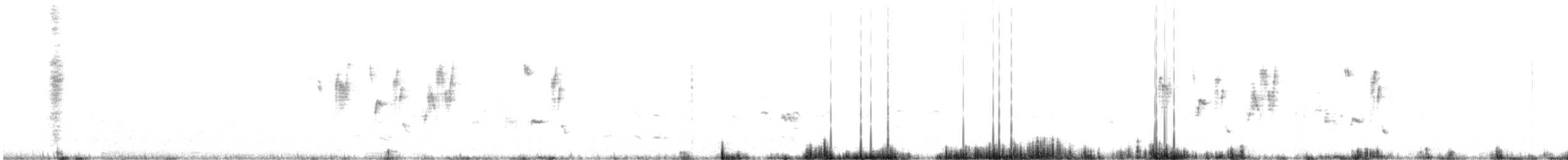 Correndera Pipit - ML640832946