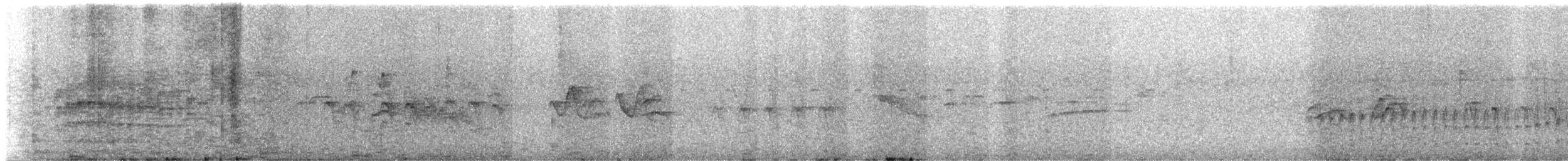 Tyranneau suiriri - ML640833100