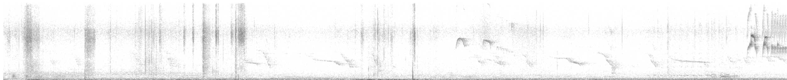 Straneck's Tyrannulet - ML640833584