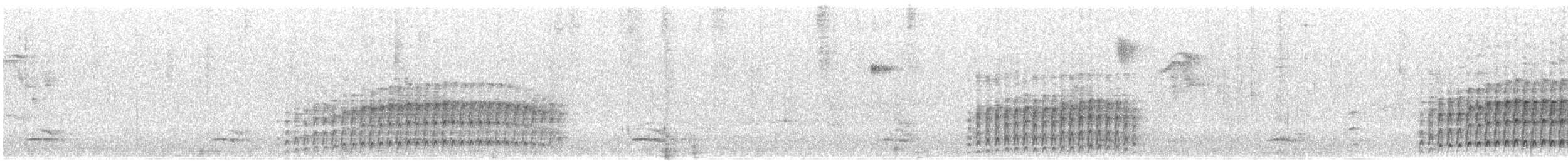 Tyranneau suiriri - ML640833629