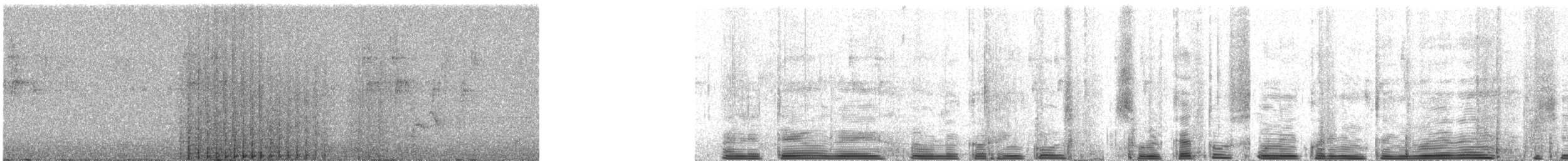 Groove-billed Toucanet - ML640834624