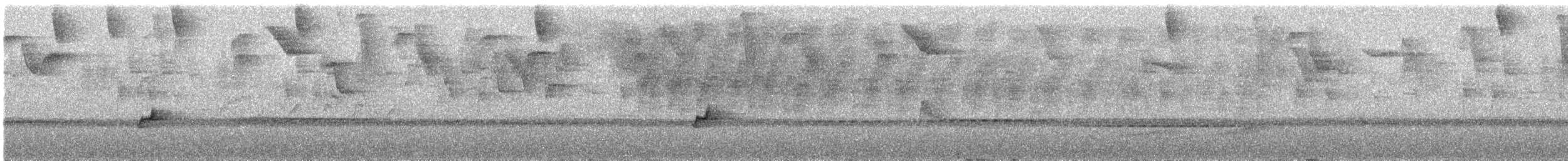 oiseau sp. - ML640835445