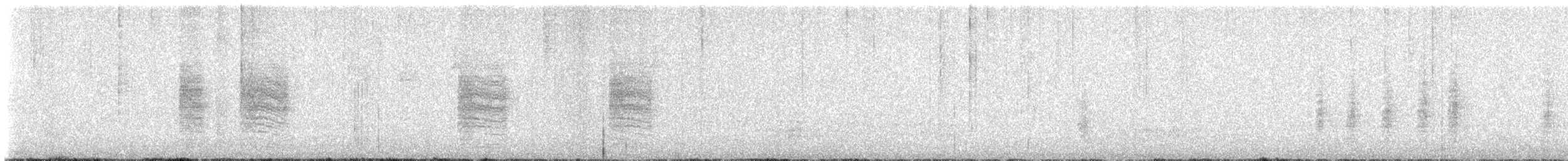 Northern House Wren - ML640837411