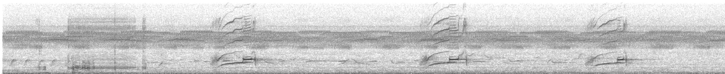 glattnebbani - ML640838432