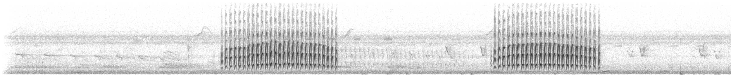 Tyranneau suiriri - ML640838833