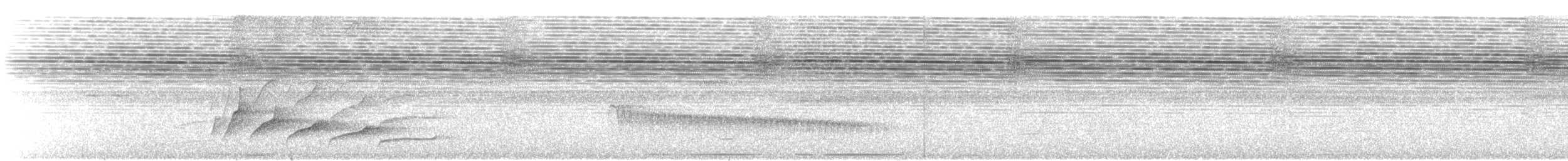 Red-billed Scythebill - ML640841501