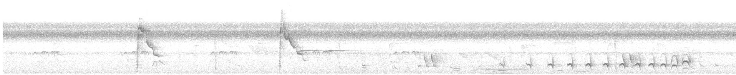 glattnebbani - ML640842689