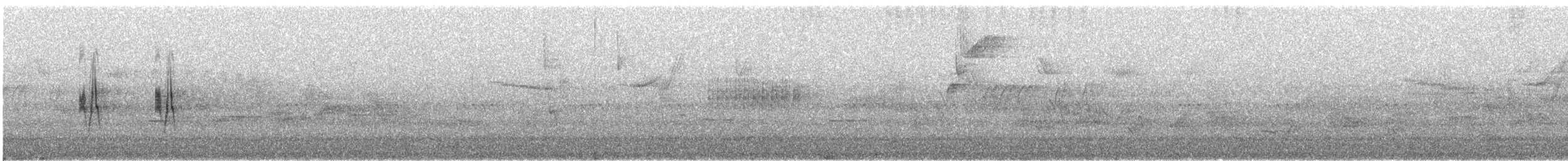 Moucherolle gris - ML640843590