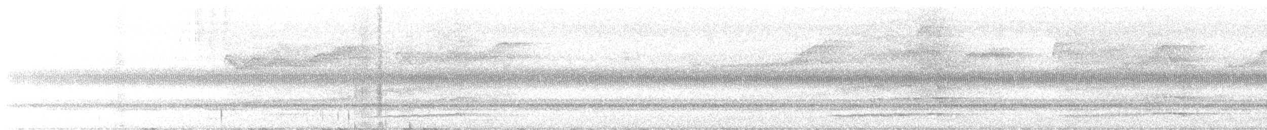 Barred Owl - ML640843611