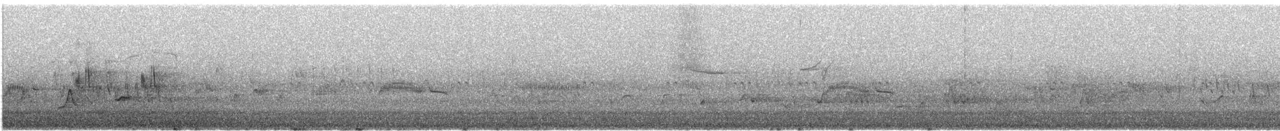 Moucherolle gris - ML640843619