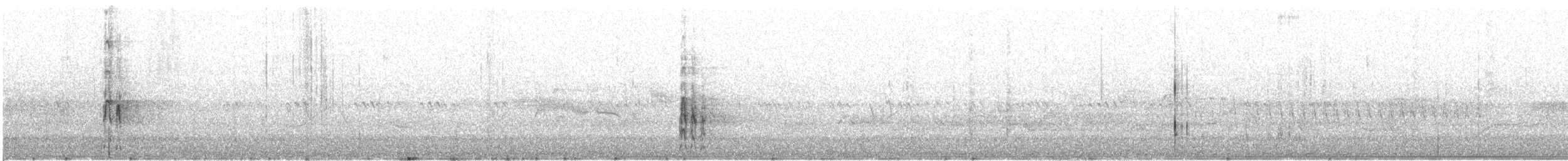 hvithodespett - ML640843651