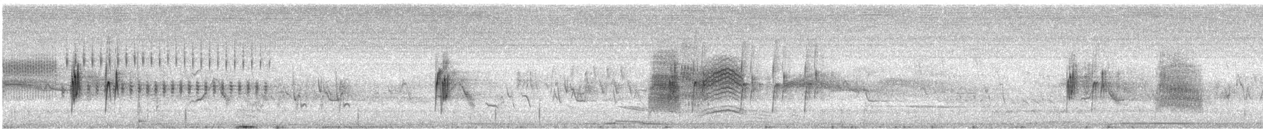 Moucherolle gris - ML640844807