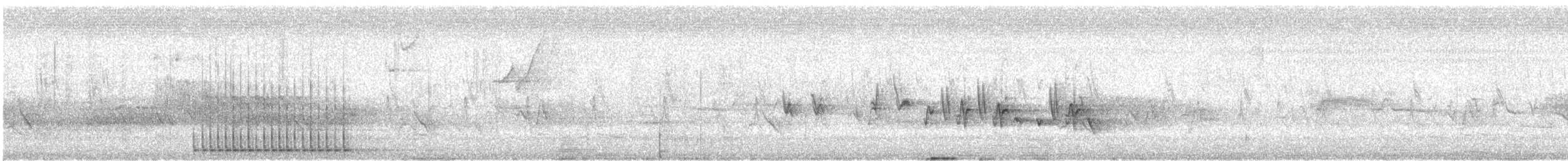 hvithodespett - ML640844900