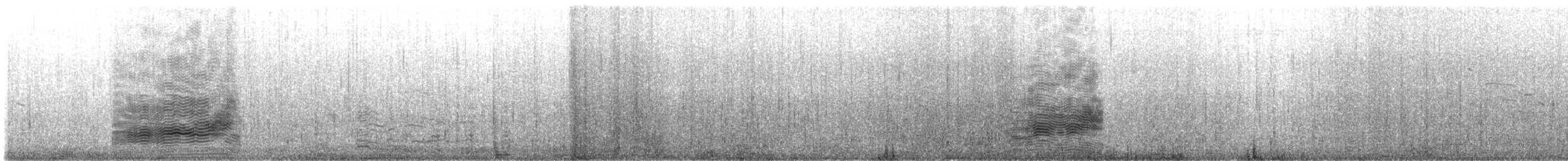 Albatros à sourcils noirs - ML640845755