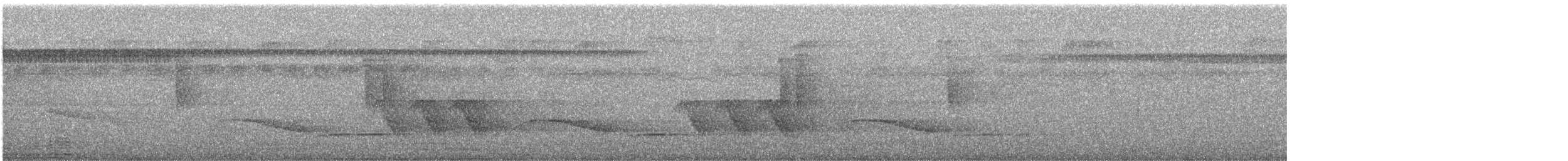 Coraya Wren - ML640845991