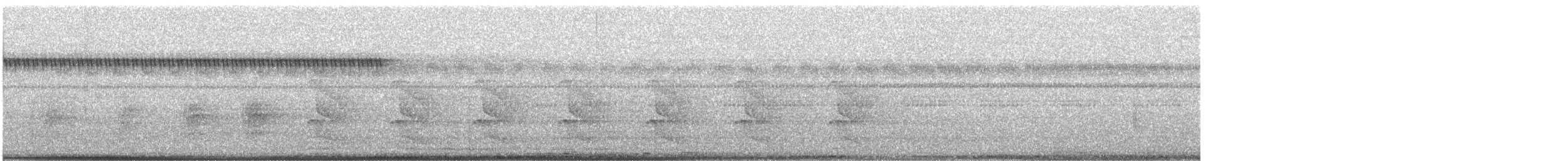 チャバラオリーブハエトリ - ML640846023