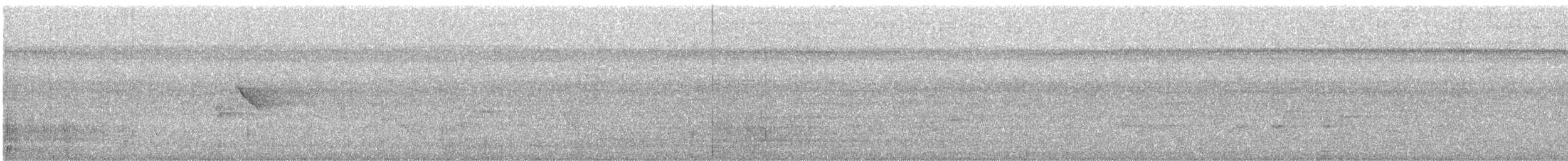 rødstripemanakin - ML640847394