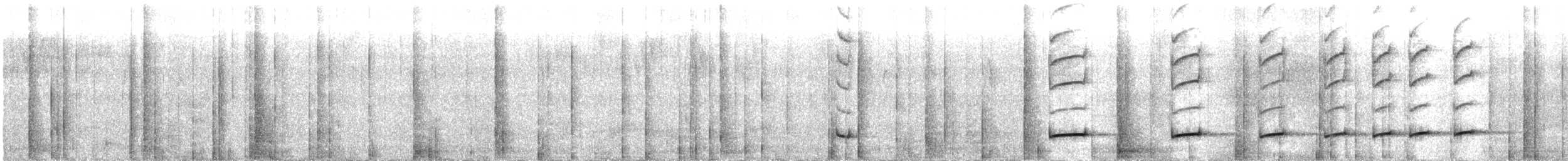 Chestnut-naped Antpitta - ML640848250