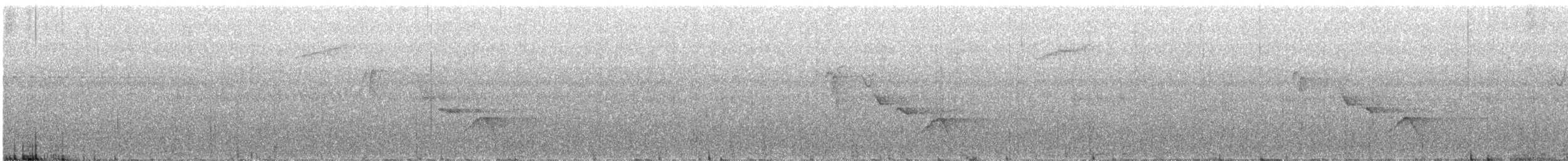 Short-tailed Drongo - ML640848391