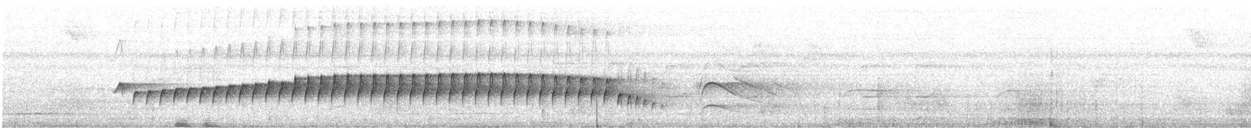 Silberameisenschnäpper - ML640848431