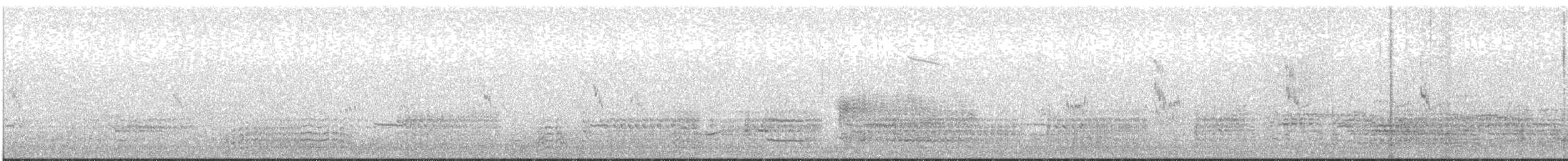peep sp. - ML640849396