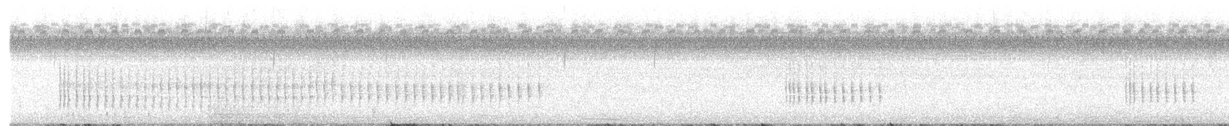 Belted Kingfisher - ML640856491