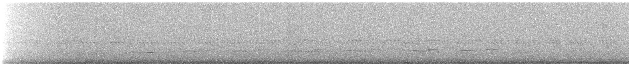 Eurasian Thick-knee - ML640857041