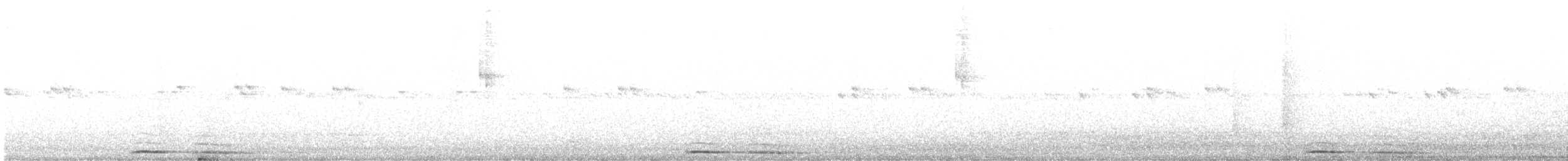 Ninoxe d'Australie - ML640857256