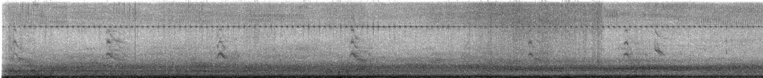 Forster's Tern - ML640859549