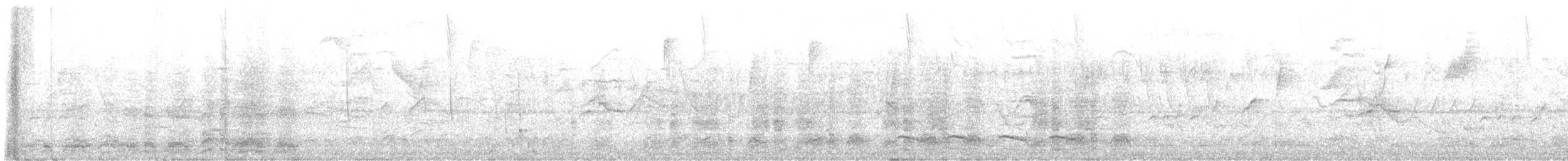 Speckled Chachalaca (Speckled) - ML640863179