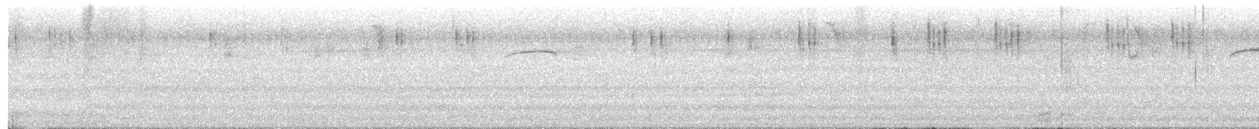 Ampelis Americano - ML640870334