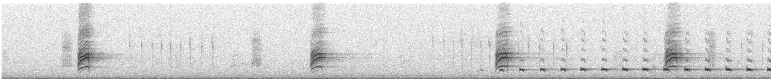 Austral Pygmy-Owl - ML640870852